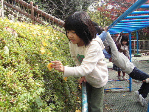 img0025.jpg