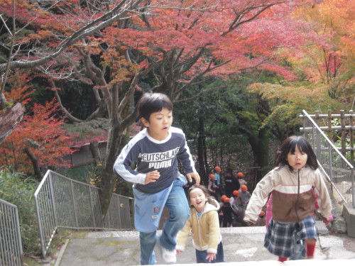 img0043.jpg