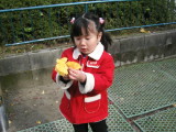 img0012.jpg
