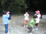 img0016.jpg