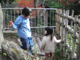 img0018.jpg