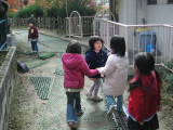 img0033.jpg