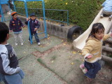 img0042.jpg
