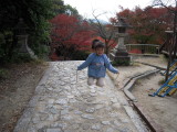 img0010.jpg