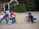 img0017.jpg