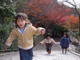 img0029.jpg