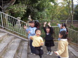 img0031.jpg