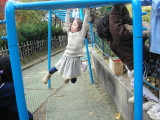 img0015.jpg