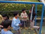 img0006.jpg
