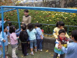 img0013.jpg