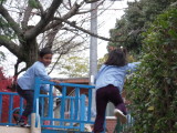 img0019.jpg