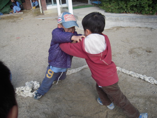 img0061.jpg