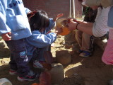 img0009.jpg