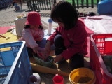 img0012.jpg