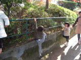 img0026.jpg
