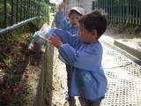 img0027.jpg