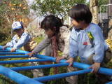 img0015.jpg