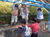 img0018.jpg