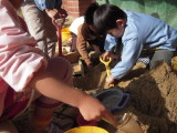 img0036.jpg