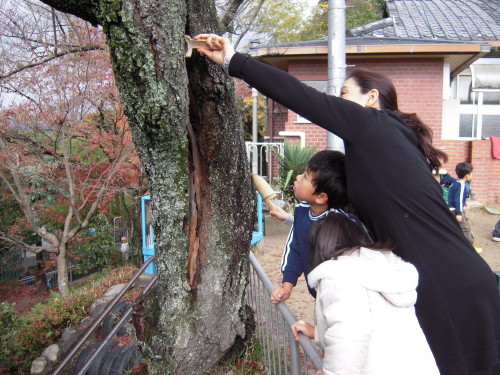 img0027.jpg