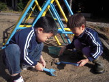 img0003.jpg