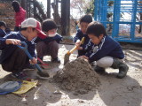 img0010.jpg