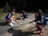 img0012.jpg