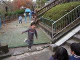 img0017.jpg