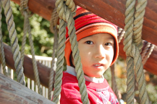 img0005.jpg