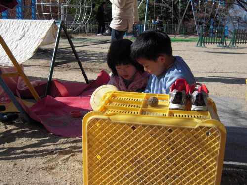 img0016.jpg