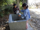 img0019.jpg