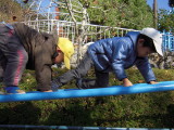img0021.jpg