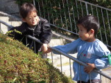 img0024.jpg