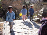 img0032.jpg