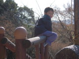 img0034.jpg