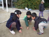 img0035.jpg