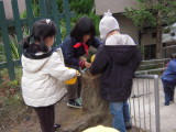 img0017.jpg
