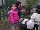img0018.jpg