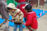 img0014.jpg