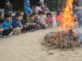 img0029.jpg
