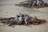 img0058.jpg