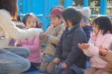 img0073.jpg