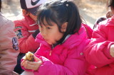 img0080.jpg