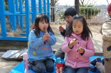 img0081.jpg