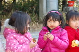 img0087.jpg
