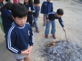img0097.jpg