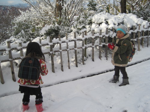 img0006.jpg