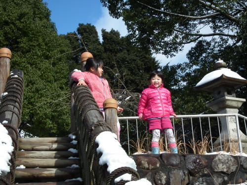 img0013.jpg