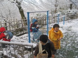 img0003.jpg