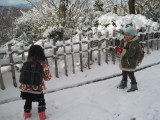 img0006.jpg